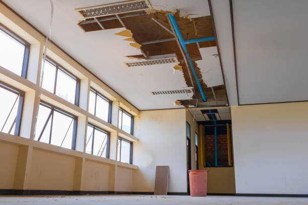 Best Flood damage cleanup  in Burnettown, SC