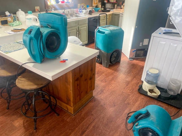 Best Water damage contractors near me  in Burnettown, SC