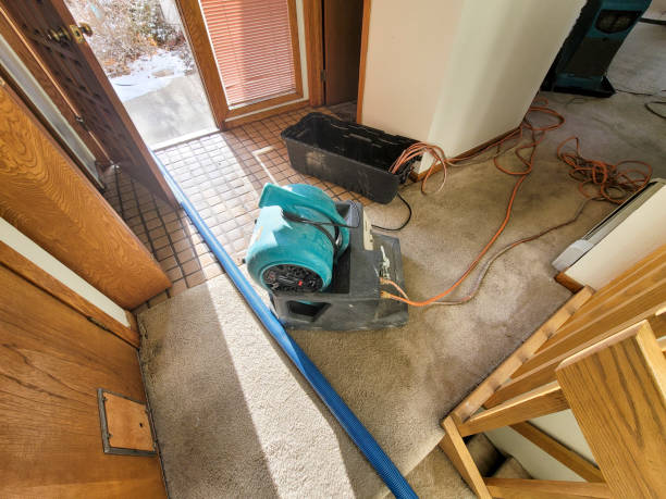 Best Water damage restoration experts  in Burnettown, SC