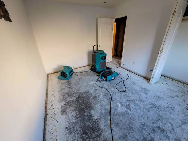 Best Ceiling water damage repair  in Burnettown, SC