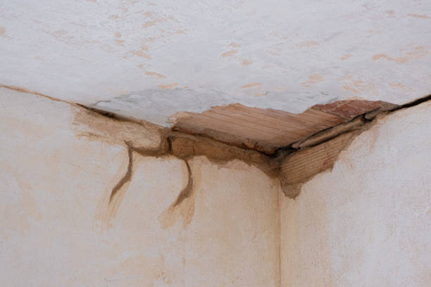 Best Basement water damage restoration  in Burnettown, SC