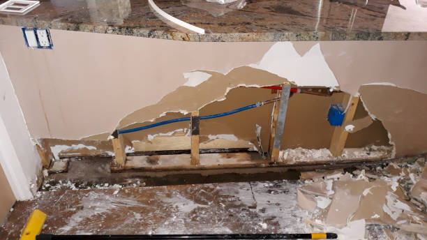 Best Water damage restoration services  in Burnettown, SC