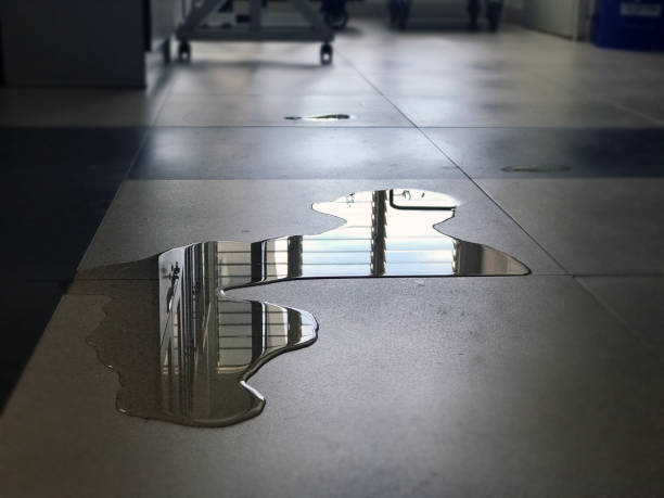Best Commercial water damage restoration  in Burnettown, SC