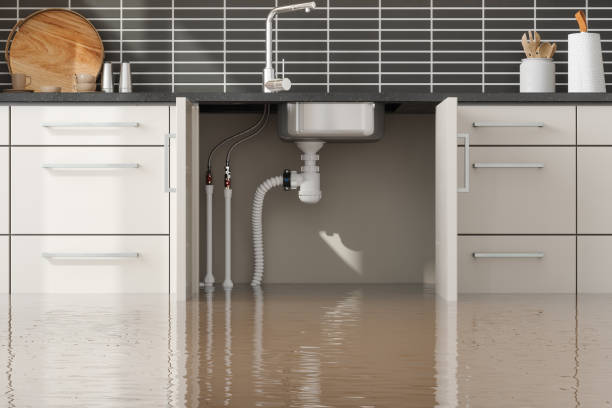 Reliable SC Water damage restoration Solutions